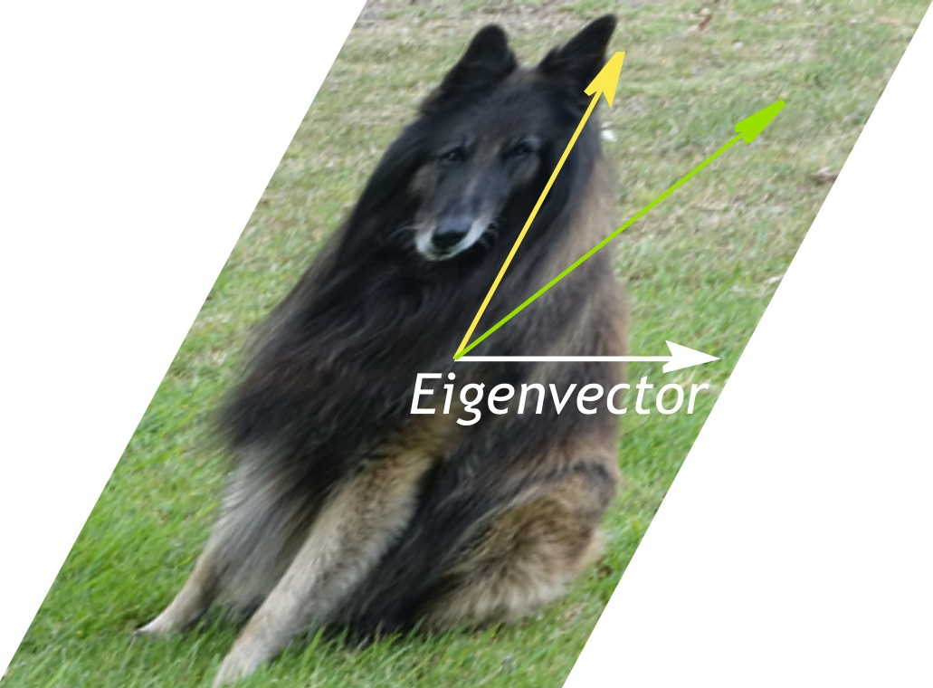 An example of an eigenvector
